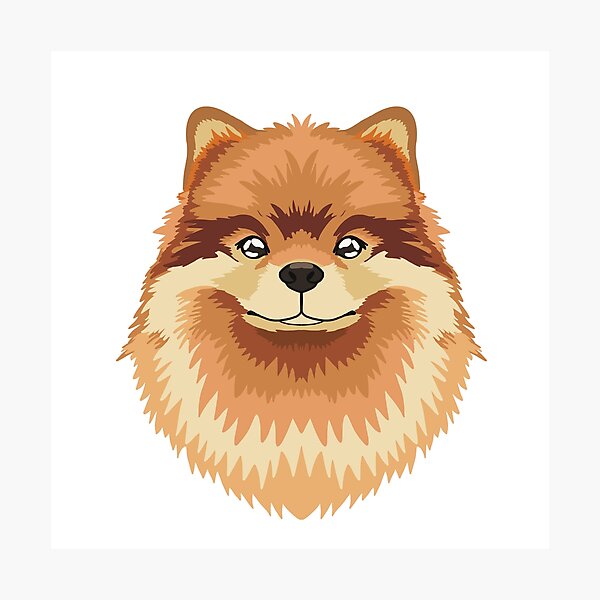 Item preview, Fluffy Pomeraninan Cute and adorable Puppy illustration designed and sold by tayaan.