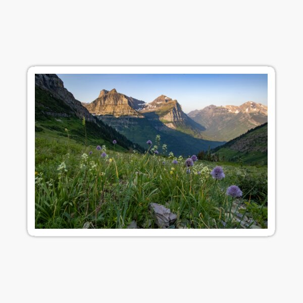 Wildflowers of Logan Pass Sticker