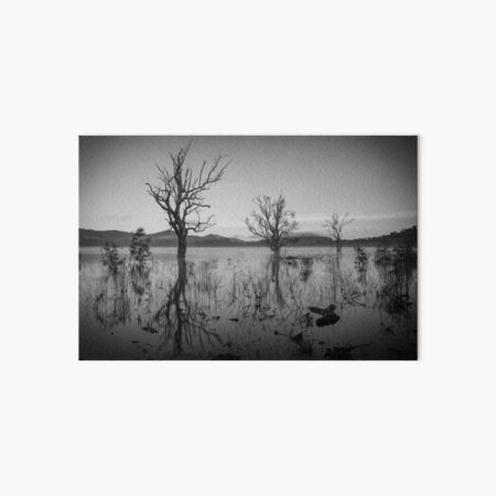 Artikel-Vorschau von Reflexionen, designt und verkauft von Tassie Gavs Images.