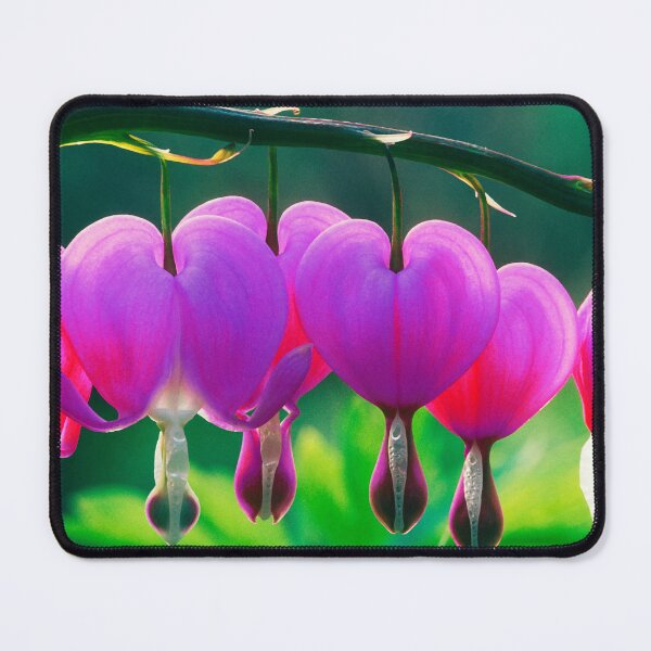 Item preview, BLEEDING HEART FLOWERS designed and sold by PHOTO STYLE.