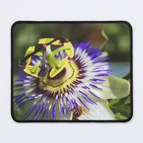 Item preview, Passionfruit Flowers And Bee designed and sold by Joy Watson - Natural Light Photography .