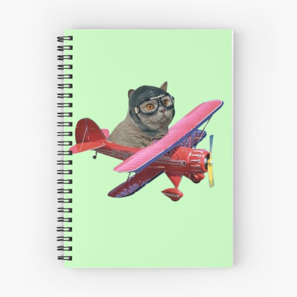 Item preview, Cat Airplane pilot, Air traffic Control designed and sold by KCLPrints.