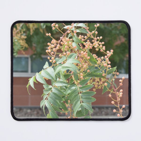 Item preview, Pretty Dangling Tree Branch designed and sold by MangoSeeds.
