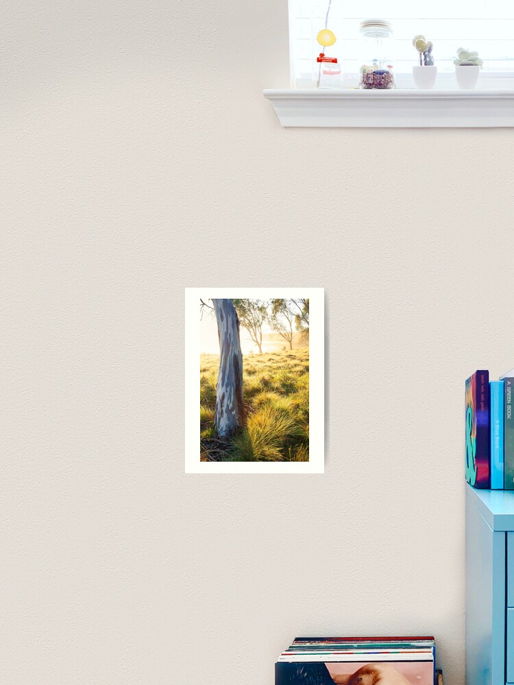 Thumbnail 2 of 3, Art Print, Misty Gumtree, Kosciusko National Park, Australia designed and sold by Chockstone.