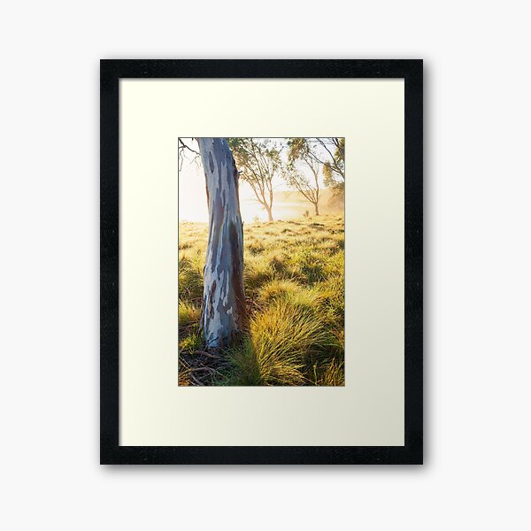 Item preview, Misty Gumtree, Kosciusko National Park, Australia designed and sold by Michael Boniwell.