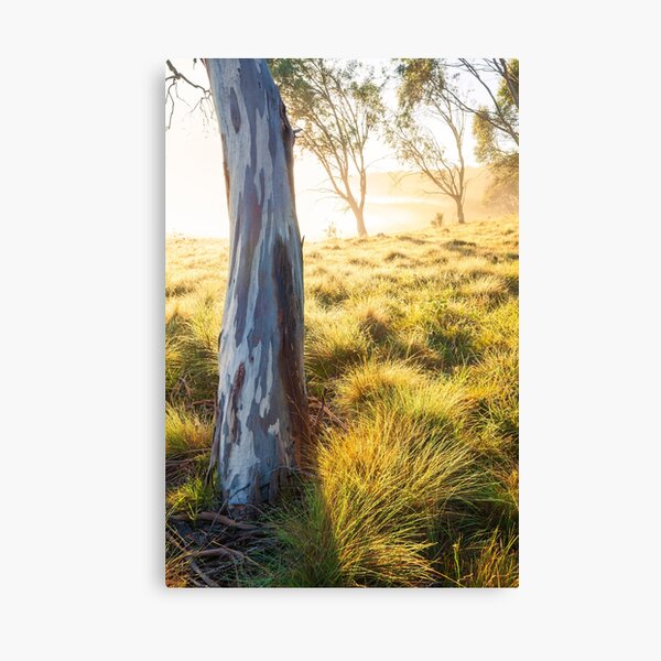 Item preview, Misty Gumtree, Kosciusko National Park, Australia designed and sold by Michael Boniwell.
