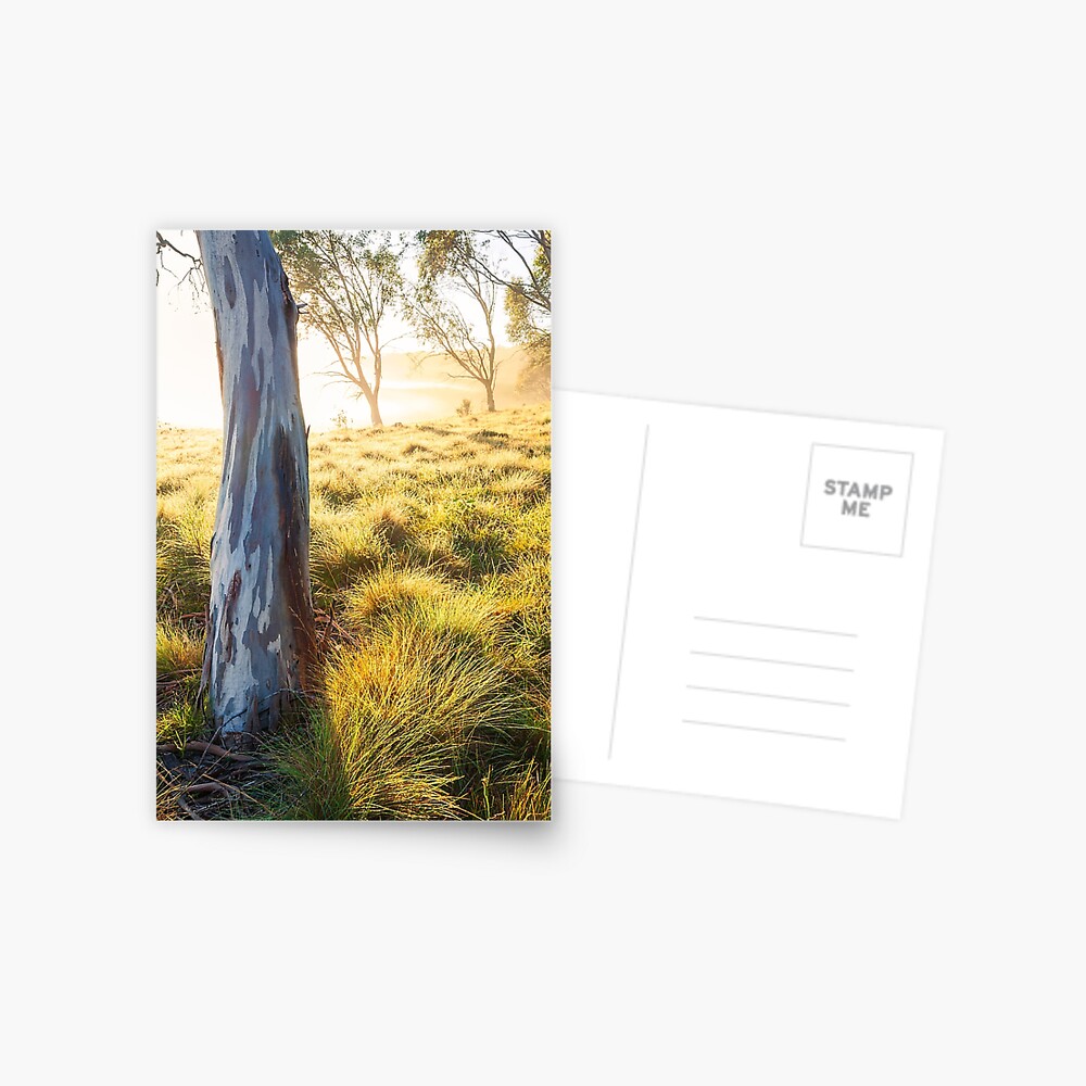 Item preview, Postcard designed and sold by Chockstone.