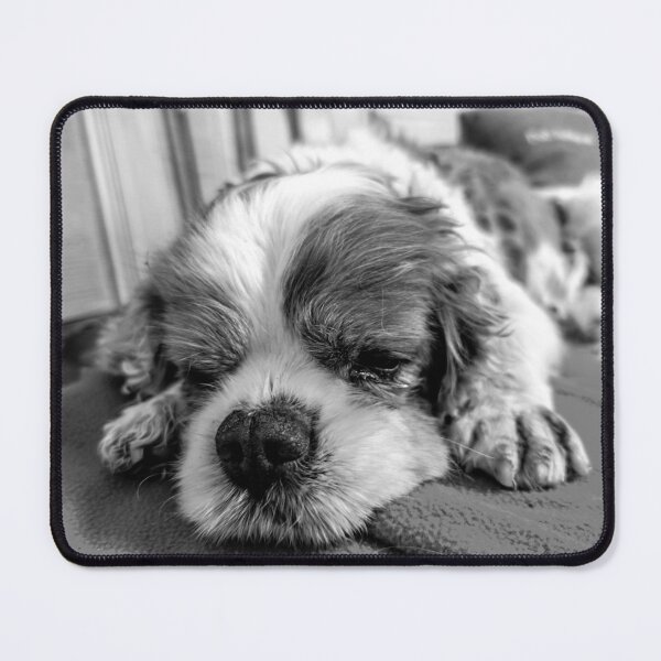 Item preview, OLD SUPERDOG designed and sold by Mark Fischer.