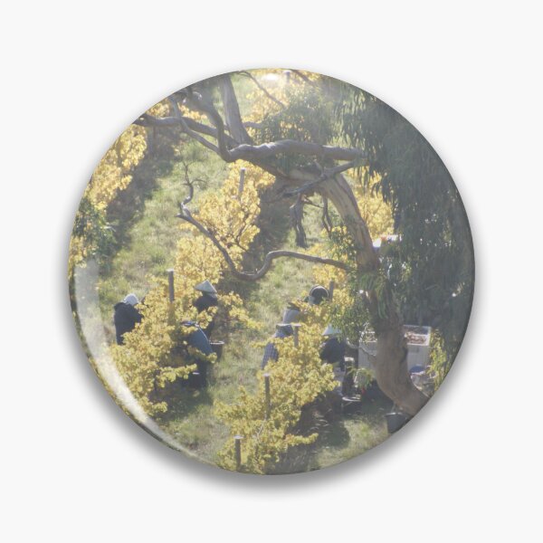 Item preview, Vertical Vines - Magpie Springs - Adelaide Hills Wine Region - Fleurieu Peninsula - Winery designed and sold by MagpieSprings.