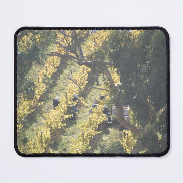 Item preview, Vertical Vines - Magpie Springs - Adelaide Hills Wine Region - Fleurieu Peninsula - Winery designed and sold by MagpieSprings.