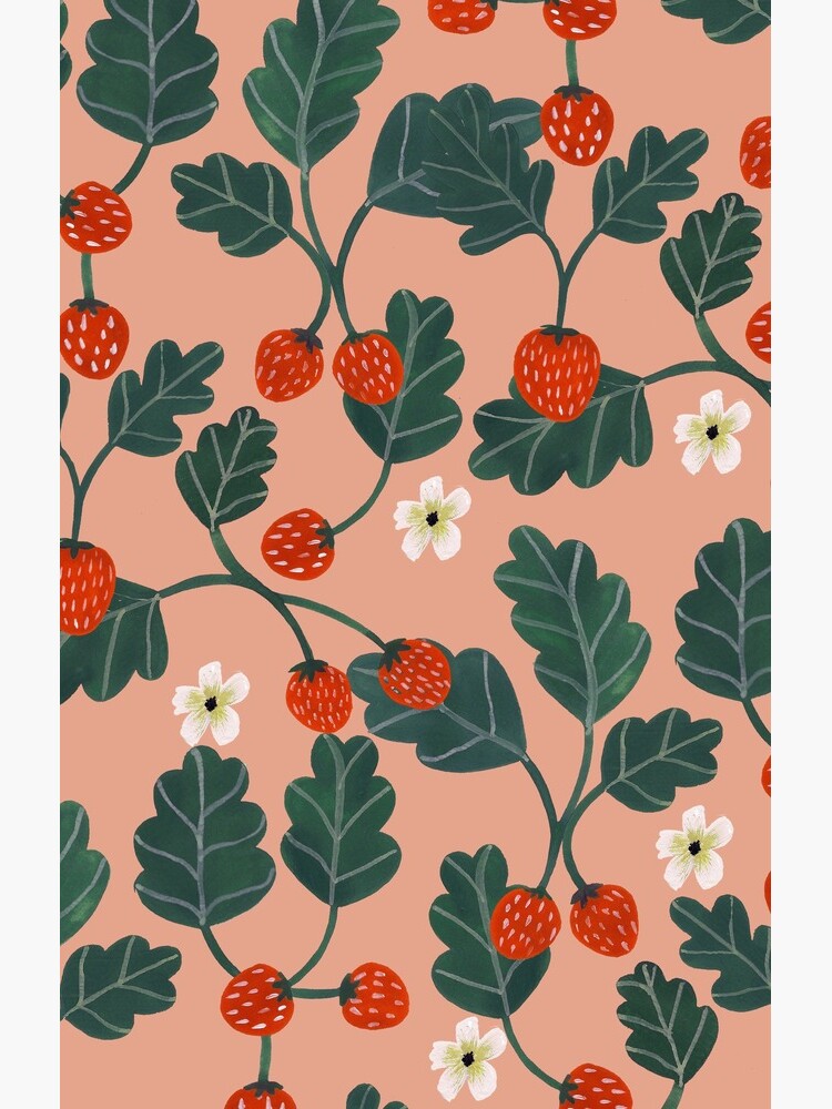 Strawberries by artiisan