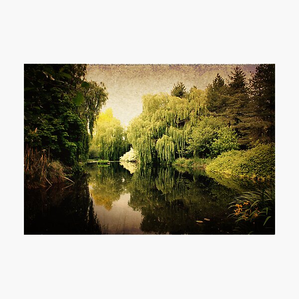 Item preview, Gooderstone Water Gardens, Oxburgh, Norfolk designed and sold by boudicashots.