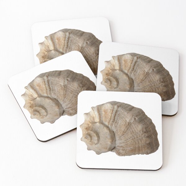 Item preview, Seashell Close-up with Intricate Texture on Transparent Background designed and sold by OrsalArt.
