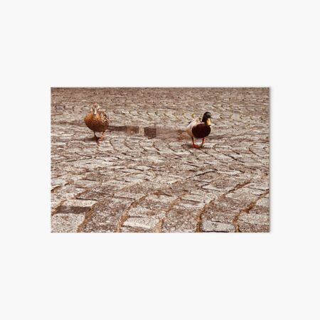 Item preview, When a pair of ducks conquers the city designed and sold by ZeljkoSavic Capture Moments .