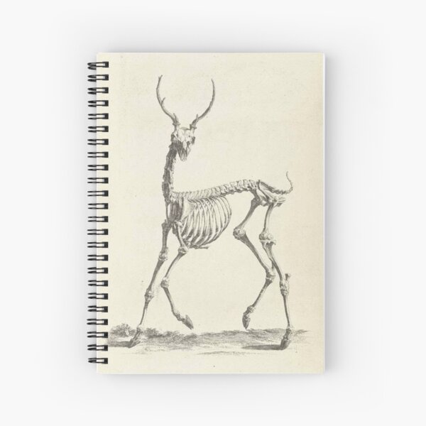 Item preview, Deer from William Cheselden’s Osteographia (1733)  designed and sold by Hilarity & Sunshine Designs.