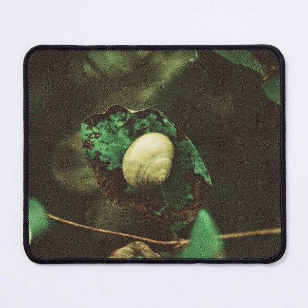 Item preview, Little Green Snail on a Greener Leaf designed and sold by Phil Bothwell Photography.