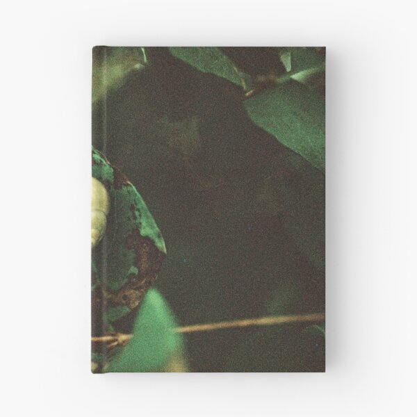 Item preview, Little Green Snail on a Greener Leaf designed and sold by Phil Bothwell Photography.