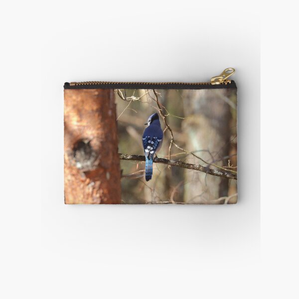 Aperçu de l'œuvre Bluejay créée et vendue par Parks and X.