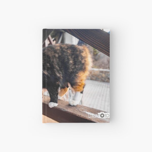 Item preview, Spring cat designed and sold by YarekPhoto.