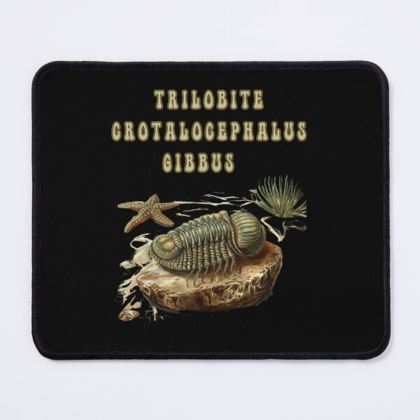 Item preview, Trilobite Crotalocephalus Gibbus  designed and sold by mirciashop.