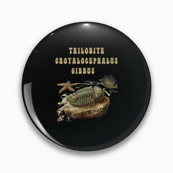 Item preview, Trilobite Crotalocephalus Gibbus  designed and sold by mirciashop.
