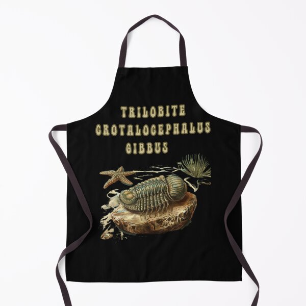 Item preview, Trilobite Crotalocephalus Gibbus designed and sold by mirciashop.
