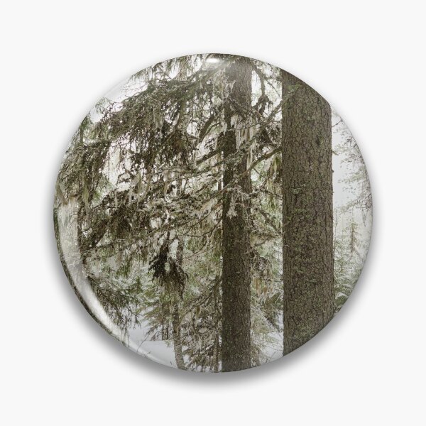 Item preview, Beard moss. Seitseminen designed and sold by Jouko Lehto Photography.
