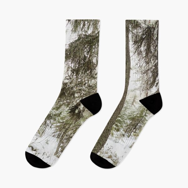 Item preview, Beard moss. Seitseminen designed and sold by Jouko Lehto Photography.