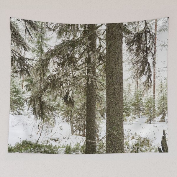 Item preview, Beard moss. Seitseminen designed and sold by Jouko Lehto Photography.