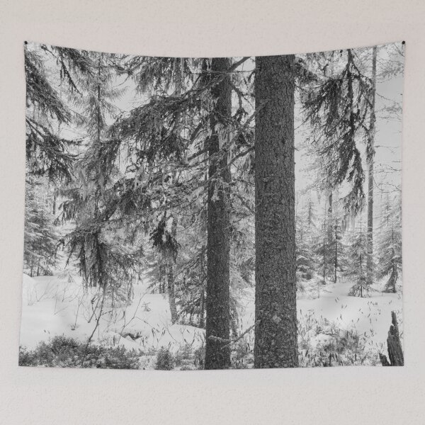 Item preview, Beard moss. Seitseminen bw designed and sold by Jouko Lehto Photography.