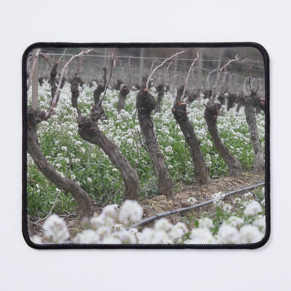 Item preview, Only the best. designed and sold by Paul Pasco.