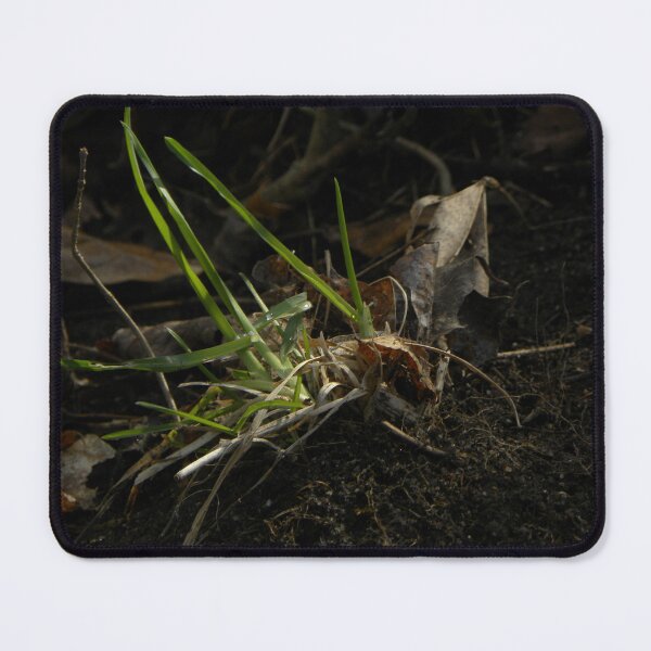 Item preview, untitled designed and sold by Doug R. W. Dunigan.