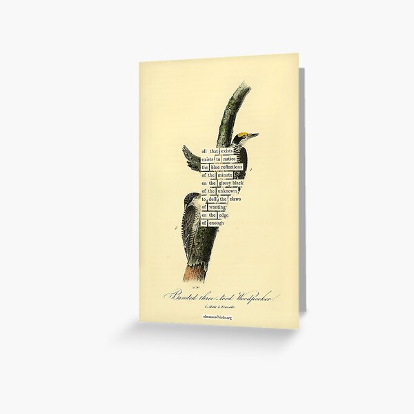 Item preview, Bird Divination: Banded Three-toed Woodpecker (almanacofbirds.org) designed and sold by mariapopova.