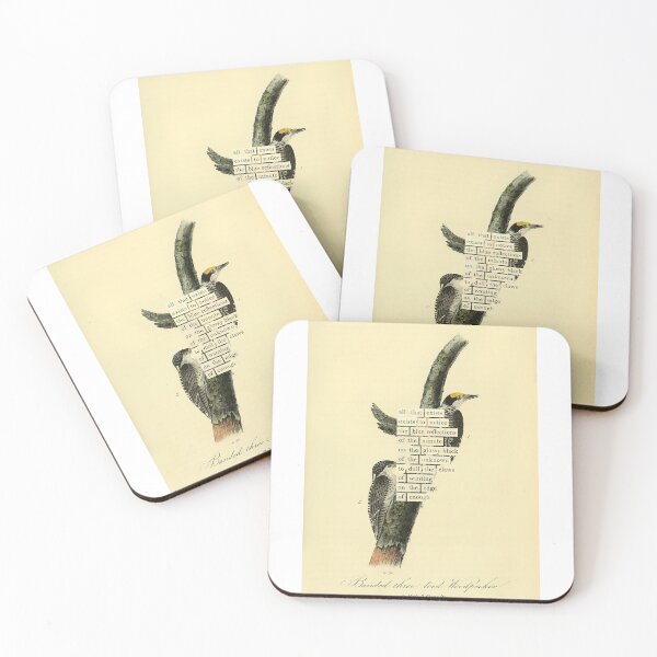 Item preview, Bird Divination: Banded Three-toed Woodpecker (almanacofbirds.org) designed and sold by mariapopova.