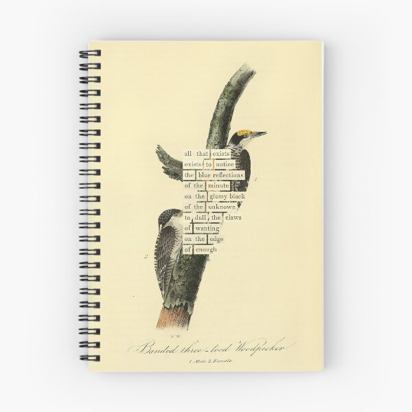 Item preview, Bird Divination: Banded Three-toed Woodpecker (almanacofbirds.org) designed and sold by mariapopova.