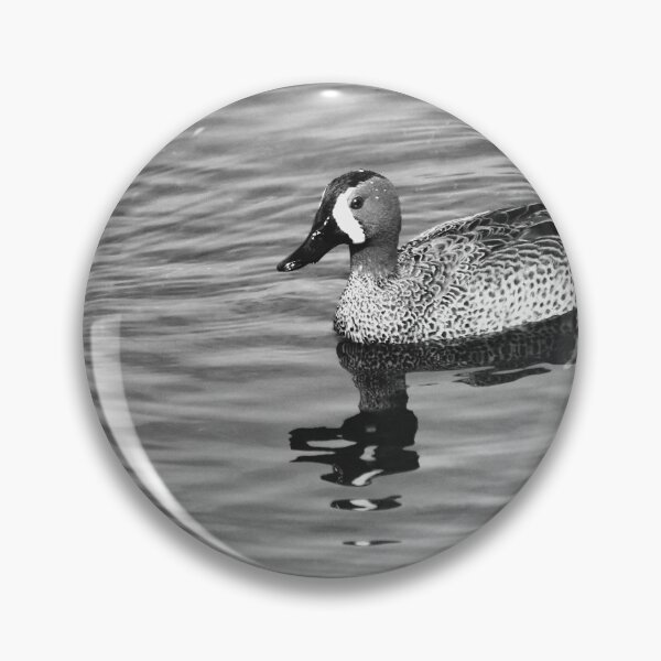 Item preview, Blue Winged Teal Black And White designed and sold by MercerImages.