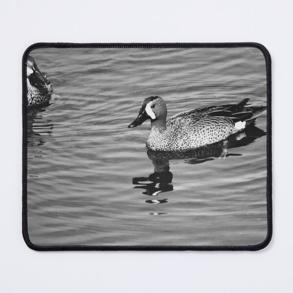Item preview, Blue Winged Teal Black And White designed and sold by MercerImages.