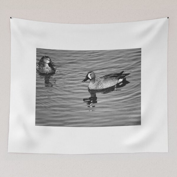 Item preview, Blue Winged Teal Black And White designed and sold by MercerImages.