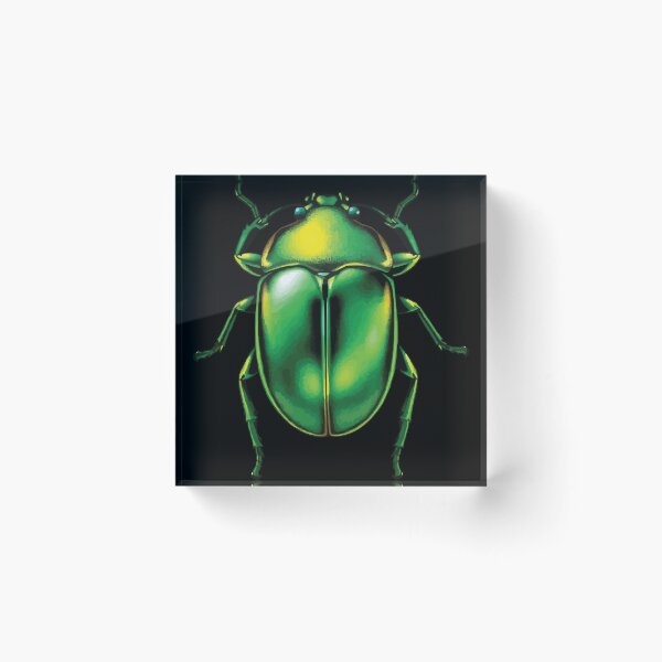 Item preview, Green Beetle designed and sold by Getup-clothing.