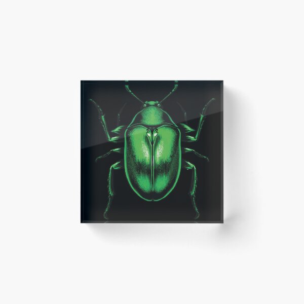 Item preview, Green Beetle designed and sold by Getup-clothing.