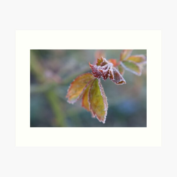 Item preview, Frost-Kissed Leaves designed and sold by OrsalArt.