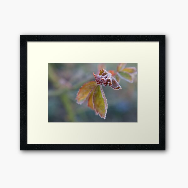 Item preview, Frost-Kissed Leaves designed and sold by OrsalArt.
