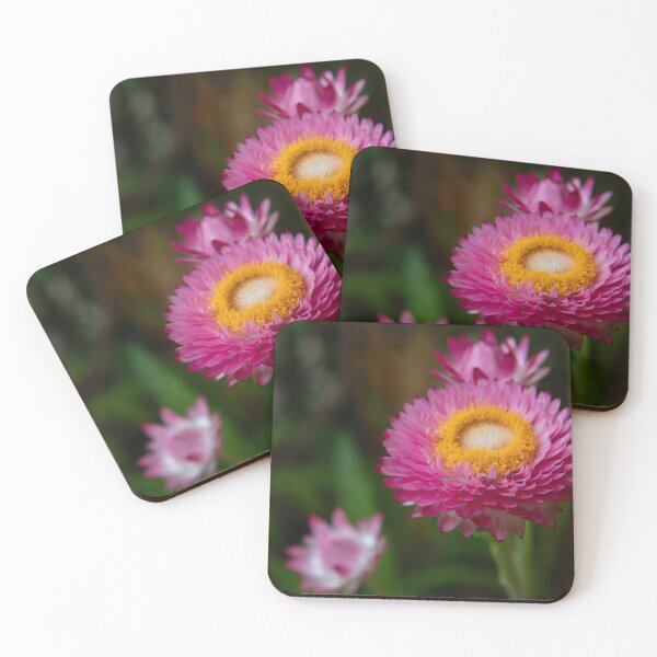 Item preview, Vibrant Pink Strawflower in Full Bloom designed and sold by OrsalArt.