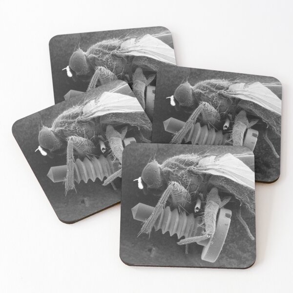 Item preview, Screw Fly designed and sold by SEMphotoArt.