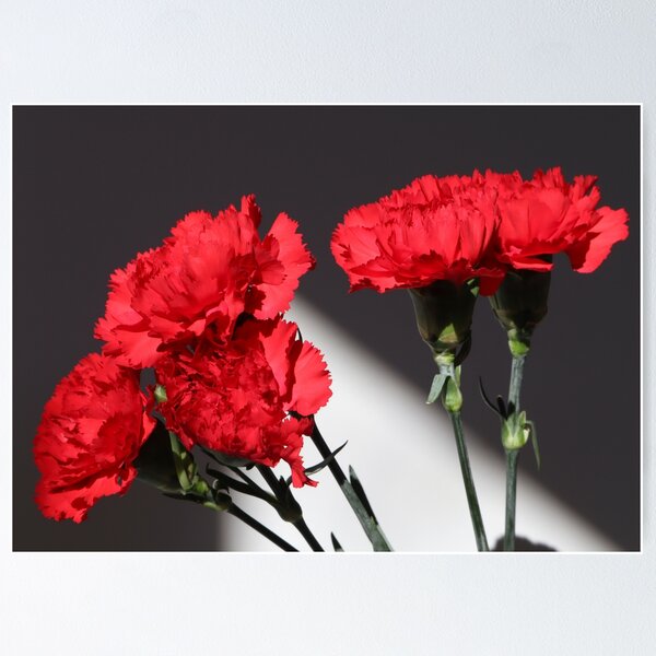 Item preview,  Red carnations designed and sold by OrsalArt.