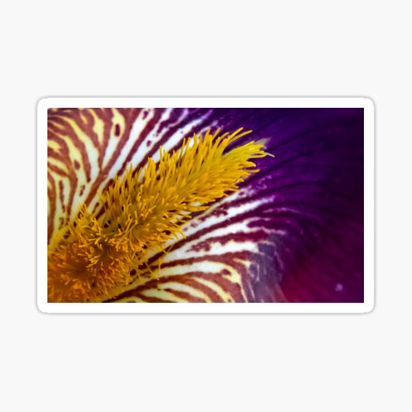 Item preview, Floral Tapestry: The Art of an Iris designed and sold by OrsalArt.