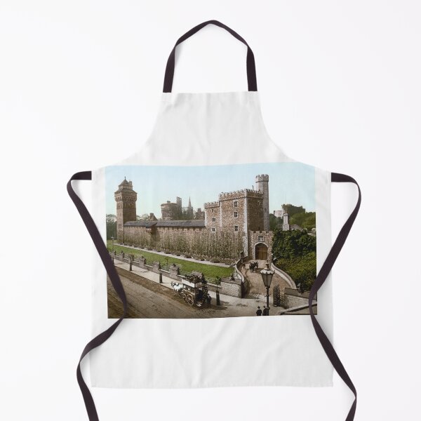 Item preview, Cardiff Castle designed and sold by 19th Century in Color.