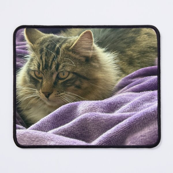 Item preview, Fluffy cat (Ron) designed and sold by itsdennyy.