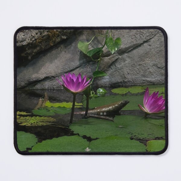Item preview, Evergreen Beauty designed and sold by itsdennyy.