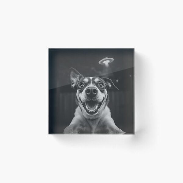 Item preview, Alien Fetch Quest: Dog & UFO Drama in Dramatic Monochrome designed and sold by WAUZ.
